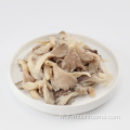 Huître grise gelée champignon-100g